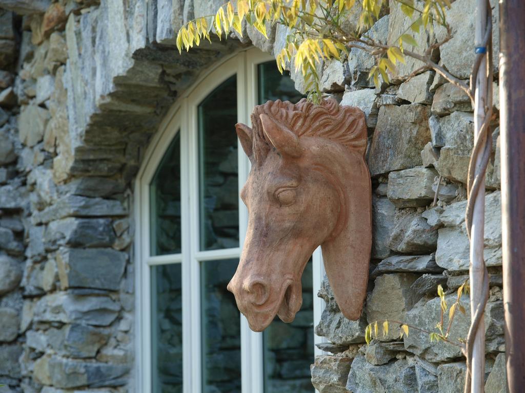 Park Hotel Villa Belvedere Cannobio Exterior photo